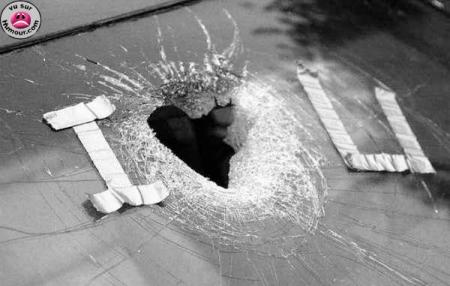 amour